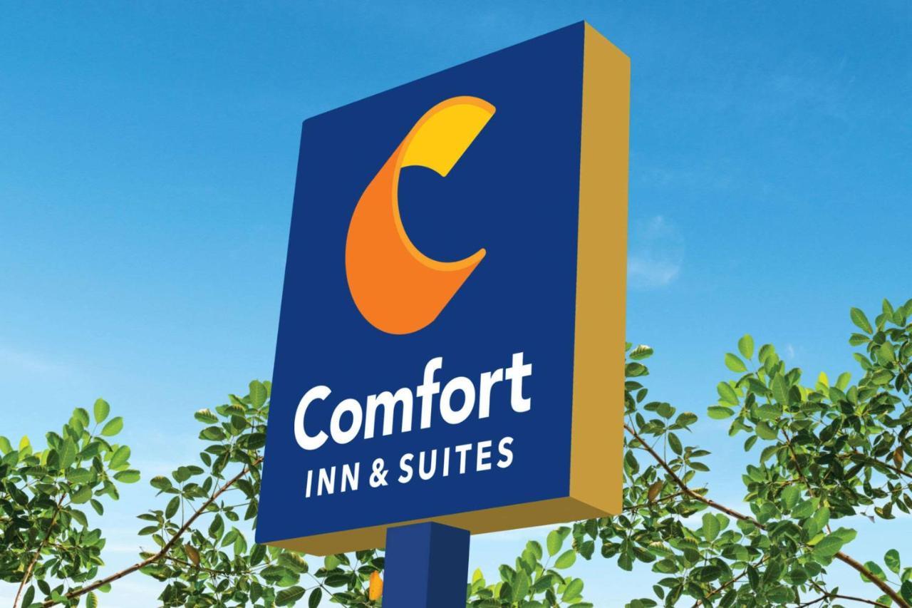 Comfort Inn & Suites Munising-Lakefront Экстерьер фото